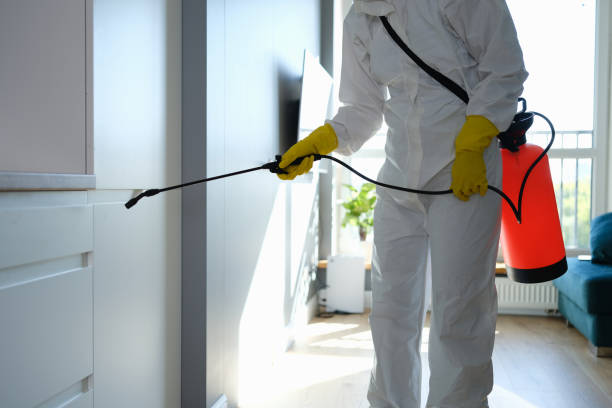 Best Fumigation Services  in Bonadelle Ranchos, CA